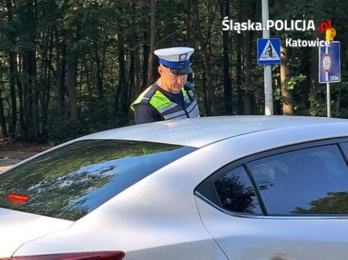 10 kierowców wsiadło za kółko po alkoholu!