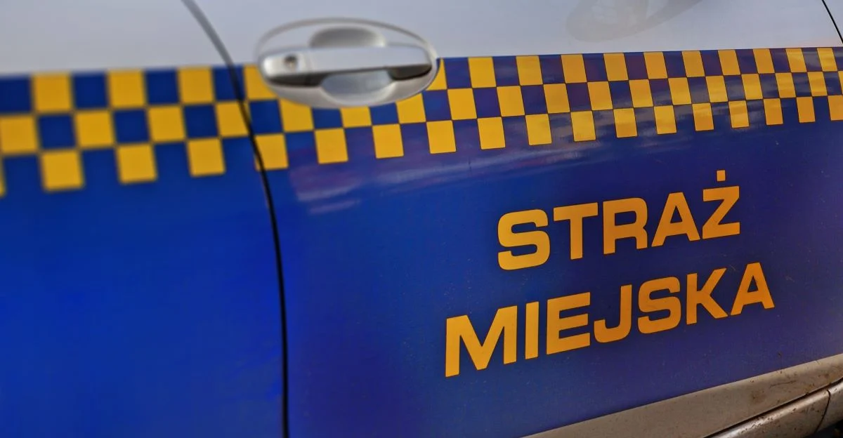 Odkryto przyczynę zanieczyszczeń rzeki Mleczna!