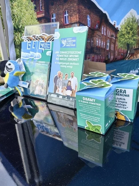 Relacja z Pikniku Ekologicznego i gry terenowej "Lufcik na tropie czystego powietrza"