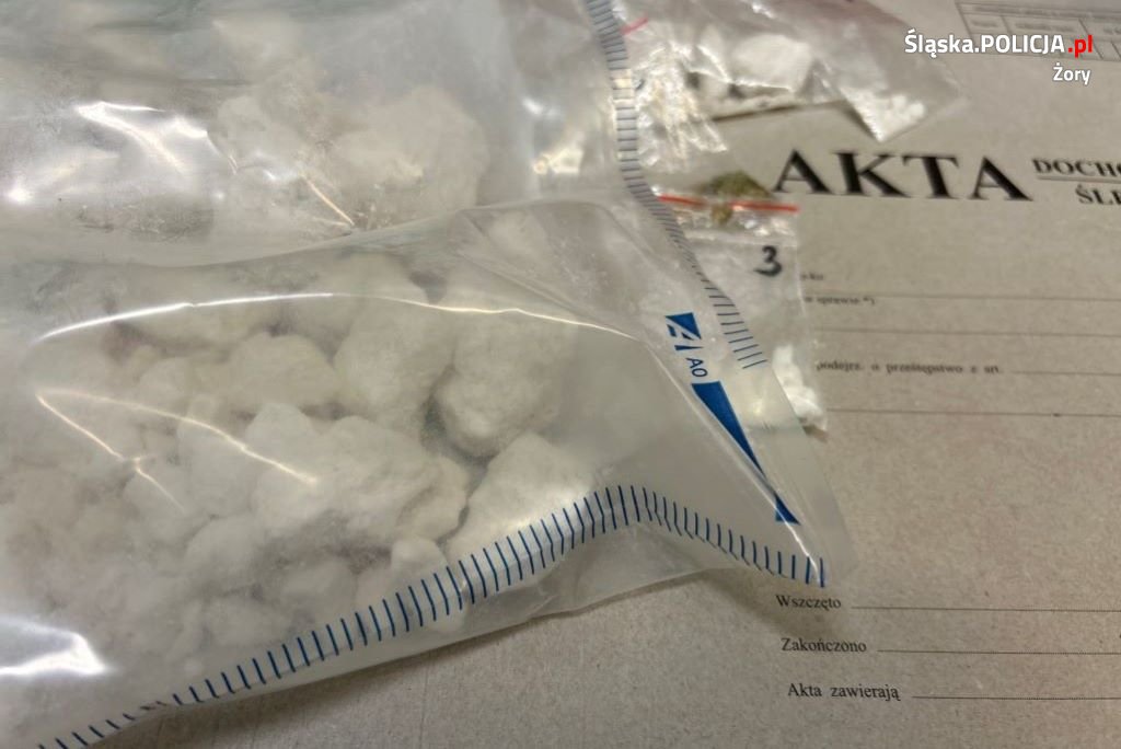 Blisko pół kilo narkotyków nie trafi na rynek