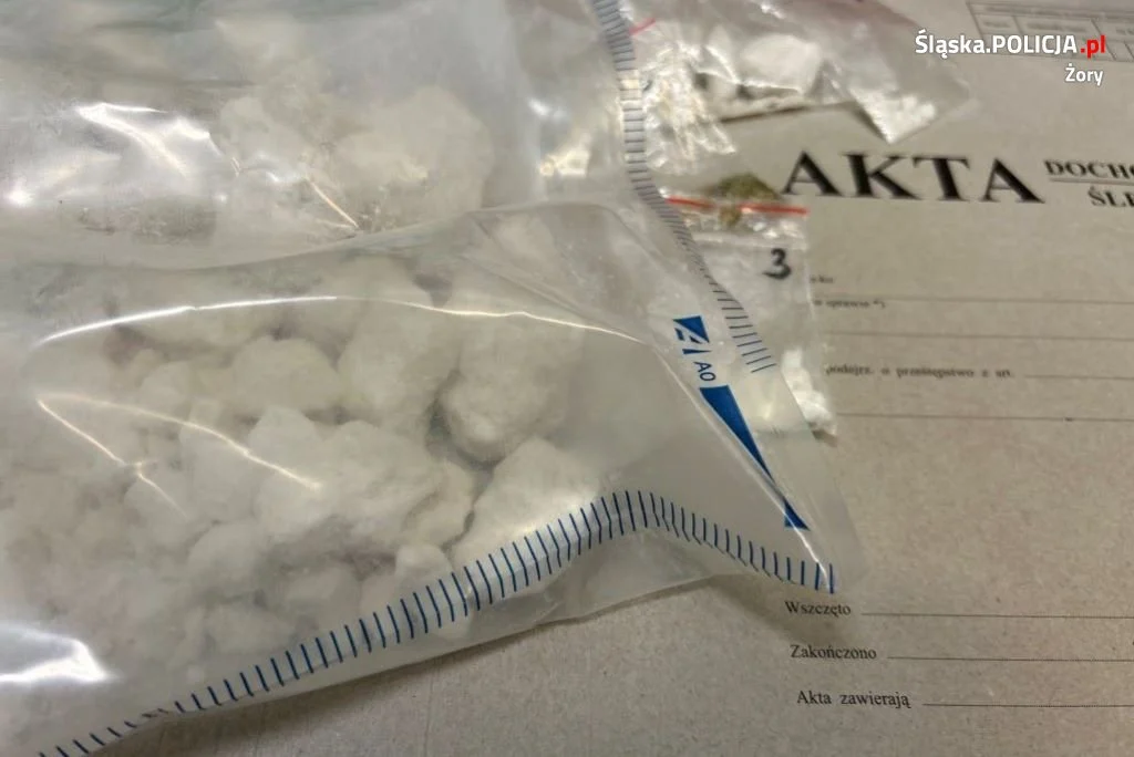 Blisko pół kilo narkotyków nie trafi na rynek