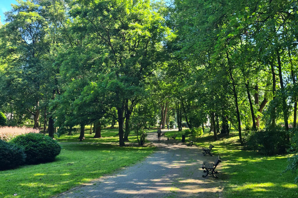Cykl letnich spacerów tematycznych. Start już w najbliższą niedzielę!