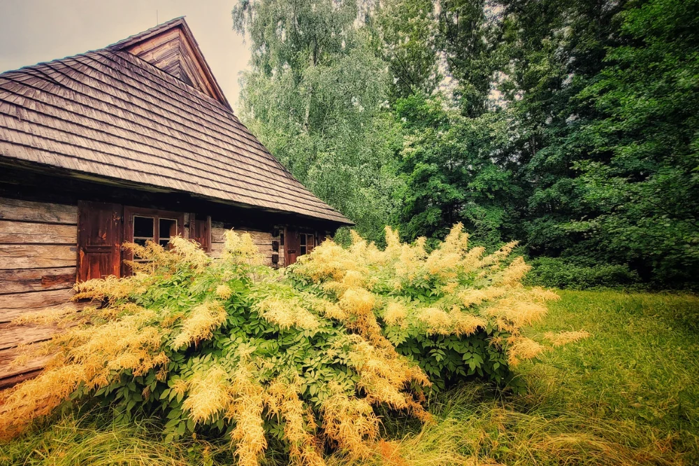 Wakacyjne atrakcje w Górnośląskim Parku Etnograficznym w Chorzowie