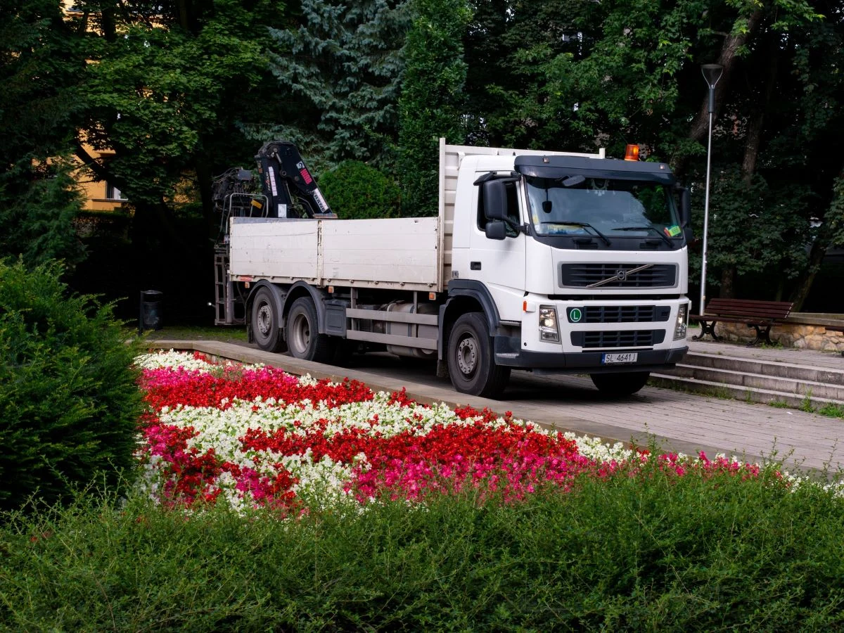 Pomnik Matki z Dzieckiem powrócił do Parku Róż po renowacji!