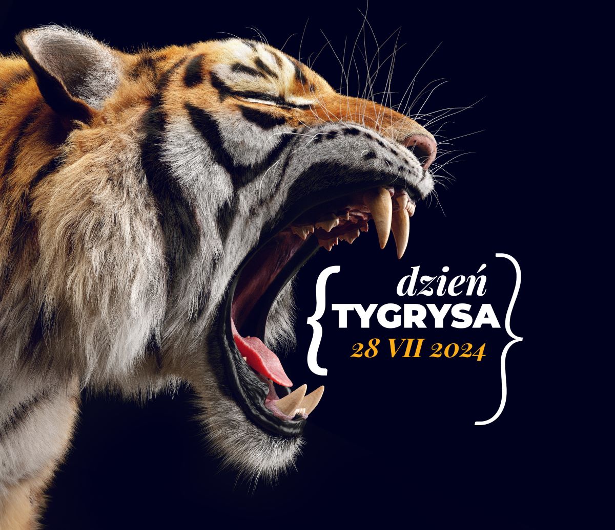 Światowy Dzień Tygrysa w Śląskim Zoo!