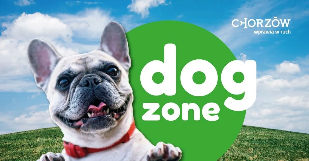 Tego wydarzenia dla czworonogów nie możecie przegapić!