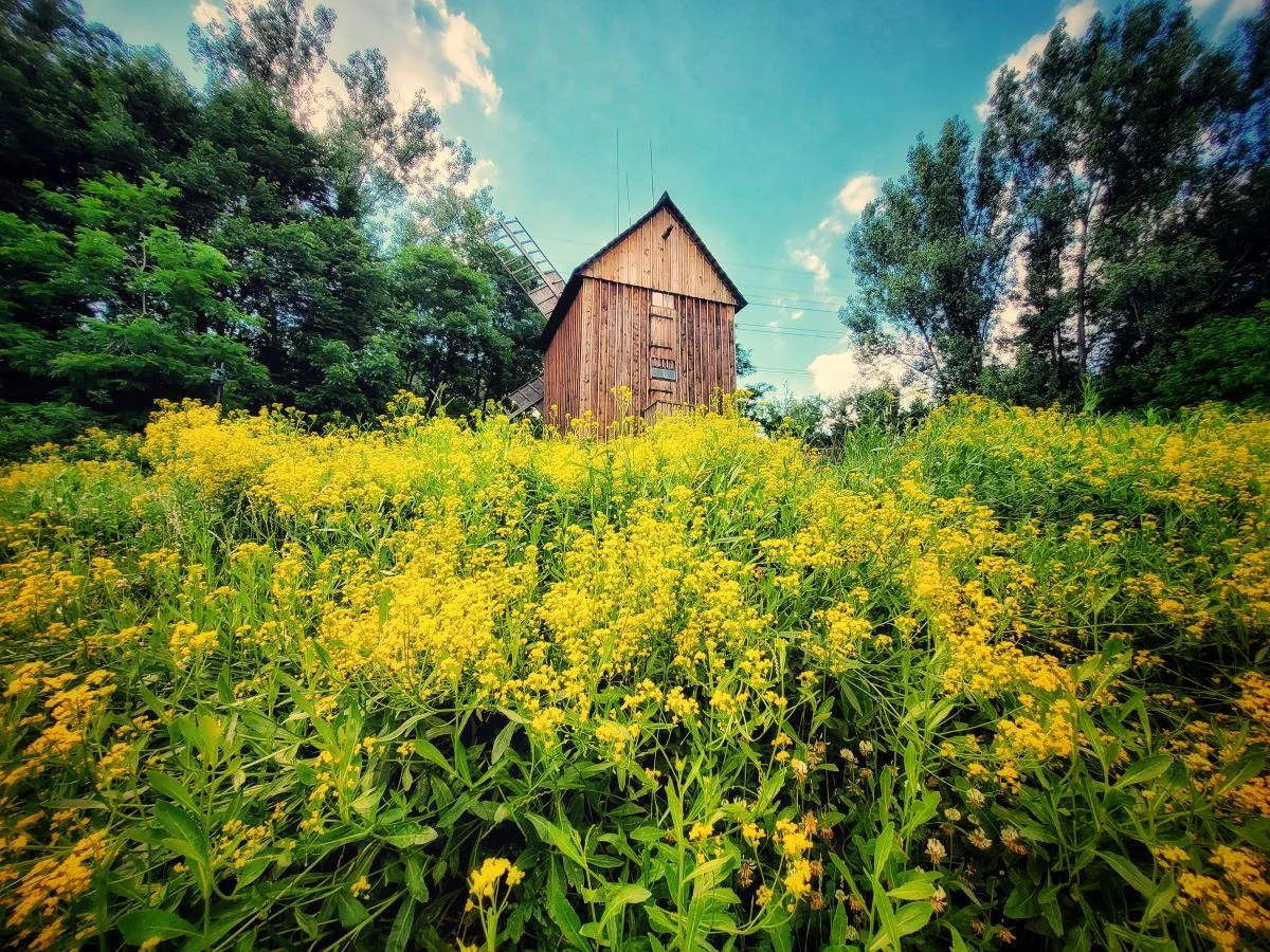 Zwiedź chorzowski skansen z przewodnikiem!