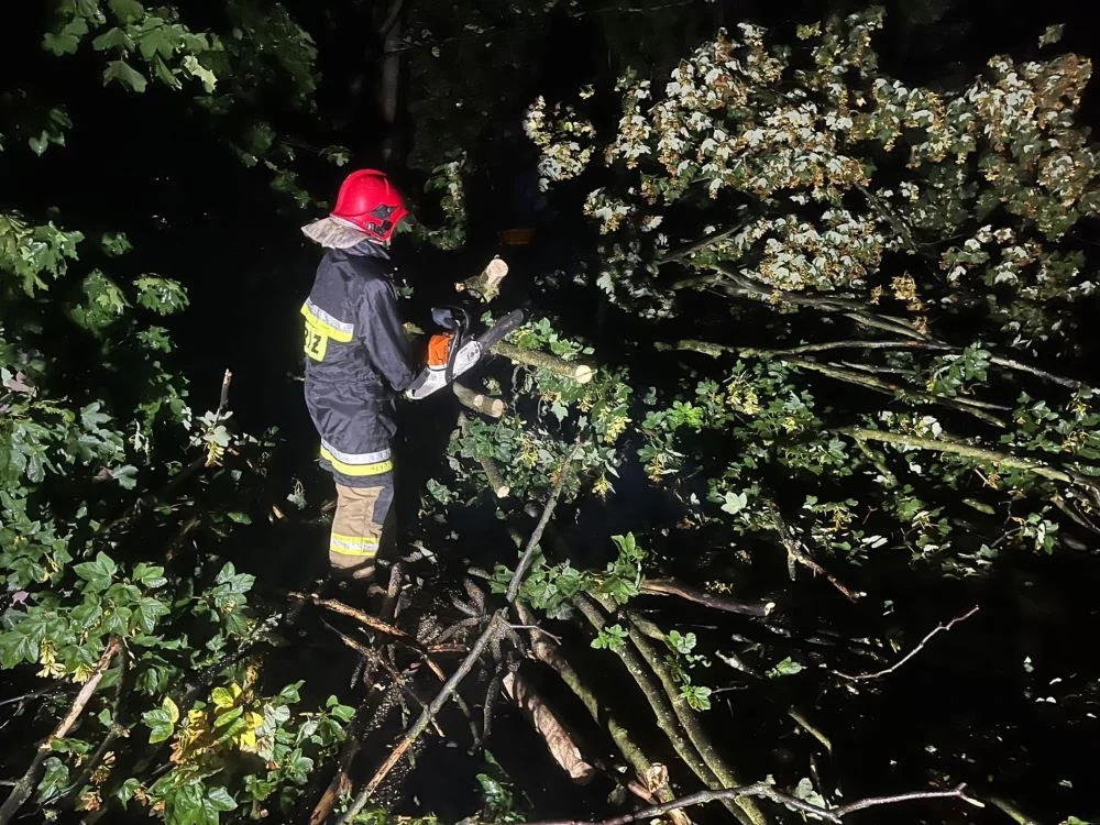 Powalone drzewa i nadłamane konary. To efekt wczorajszych burz, które przeszły nad miastem