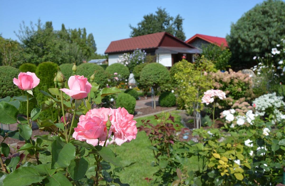 Przygotowanie Planu Ogólnego Miasta Zabrze – przyszłość ROD-ów nie jest zagrożona