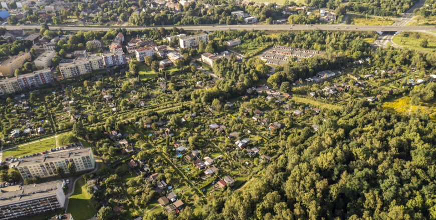 Przygotowanie Planu Ogólnego Miasta Zabrze – przyszłość ROD-ów nie jest zagrożona