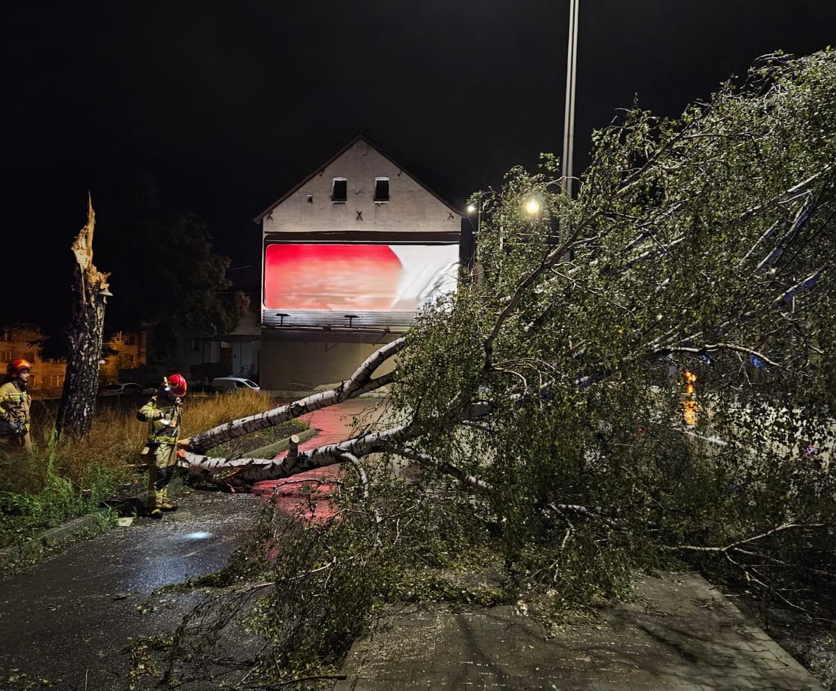 Strażacy w Zabrzu walczyli ze skutkami wichur i ulew. Ponad 40 interwencji