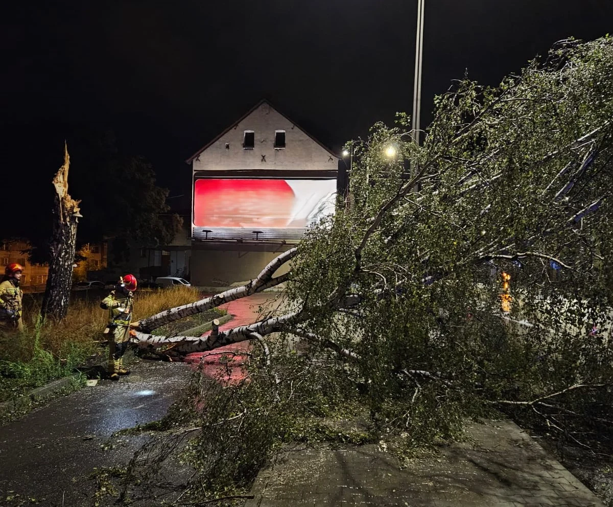Strażacy w Zabrzu walczyli ze skutkami wichur i ulew. Ponad 40 interwencji