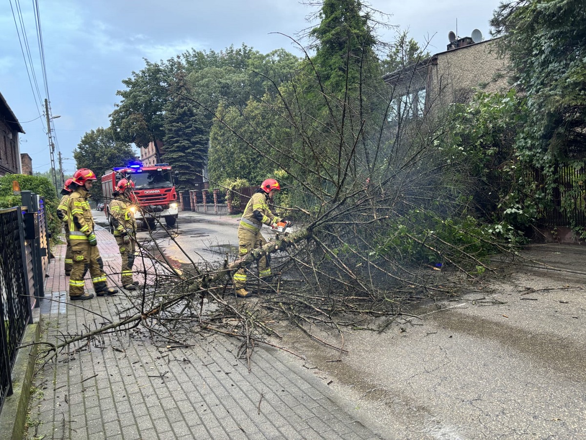 Strażacy w Zabrzu walczyli ze skutkami wichur i ulew. Ponad 40 interwencji