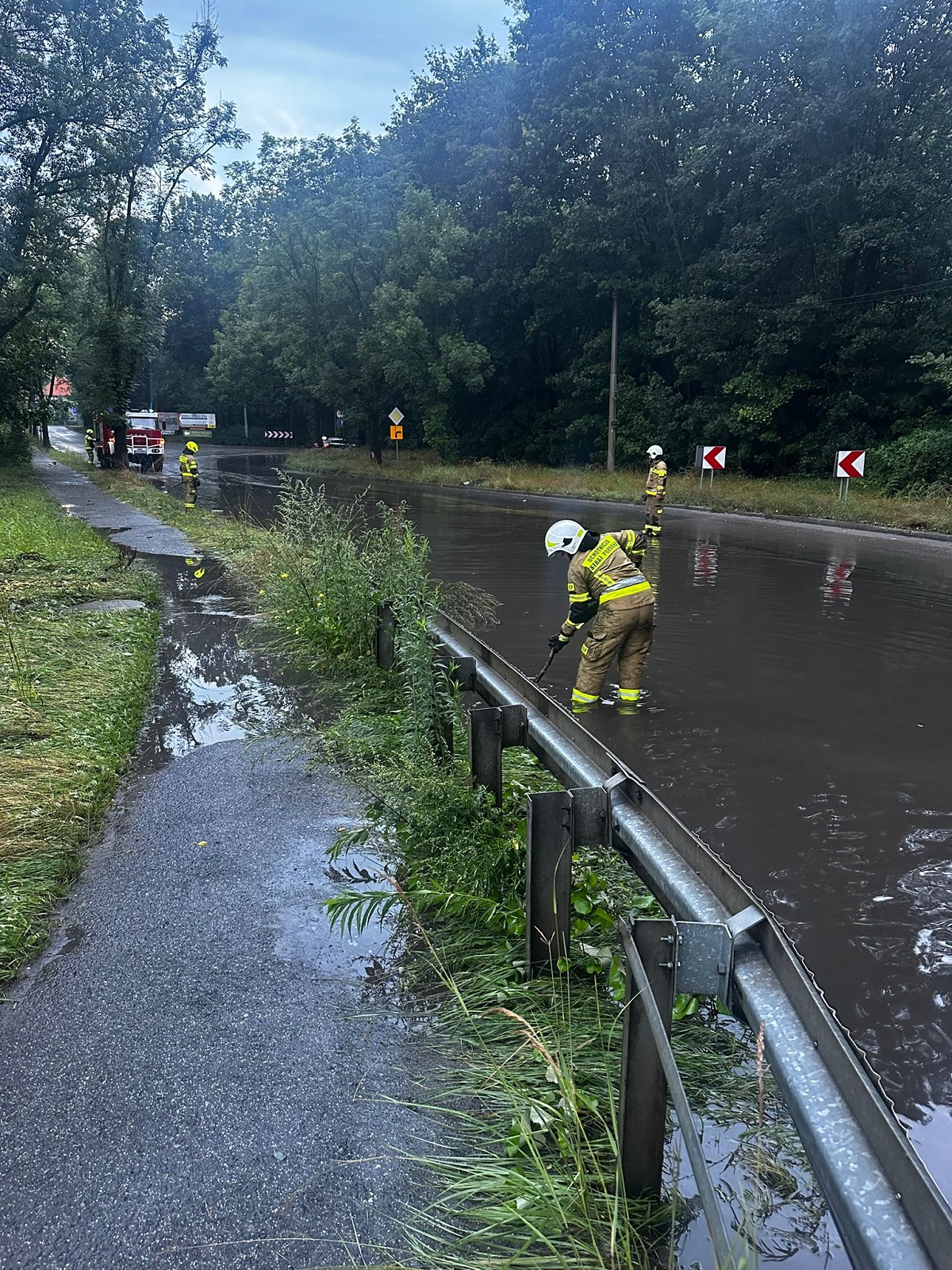 Strażacy w Zabrzu walczyli ze skutkami wichur i ulew. Ponad 40 interwencji