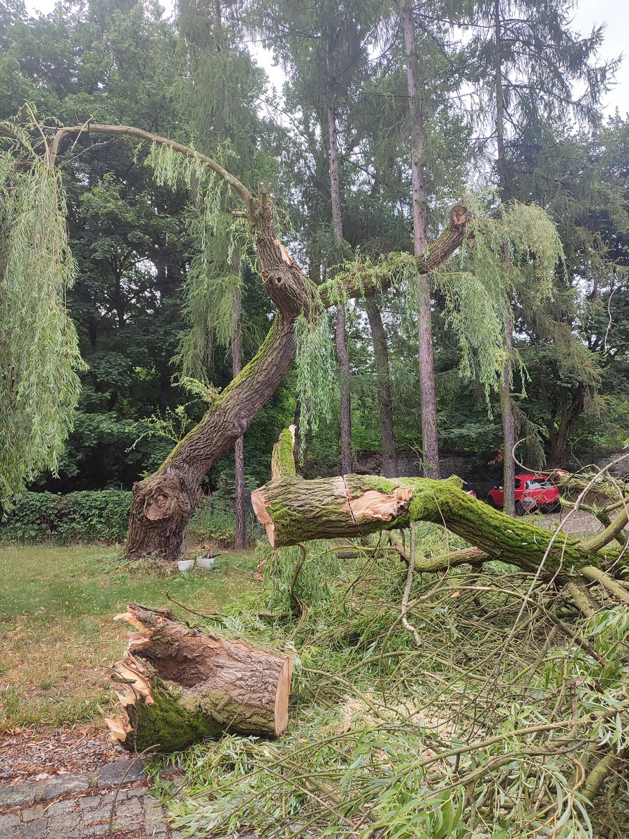 Strażacy w Zabrzu walczyli ze skutkami wichur i ulew. Ponad 40 interwencji