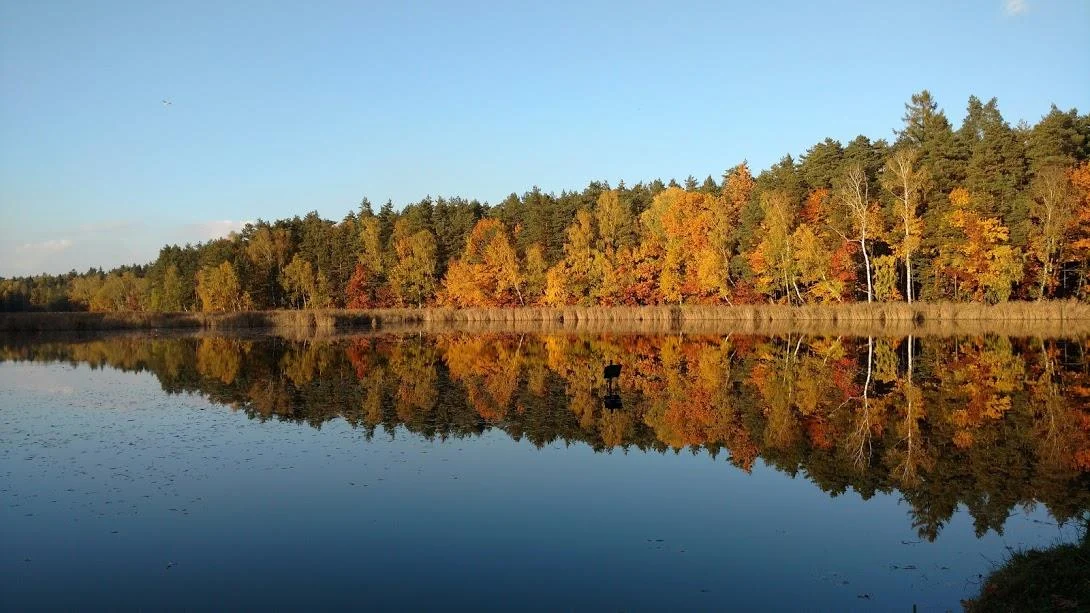 Uroczy zakątek Śląska  – Pojezierze Palowickie