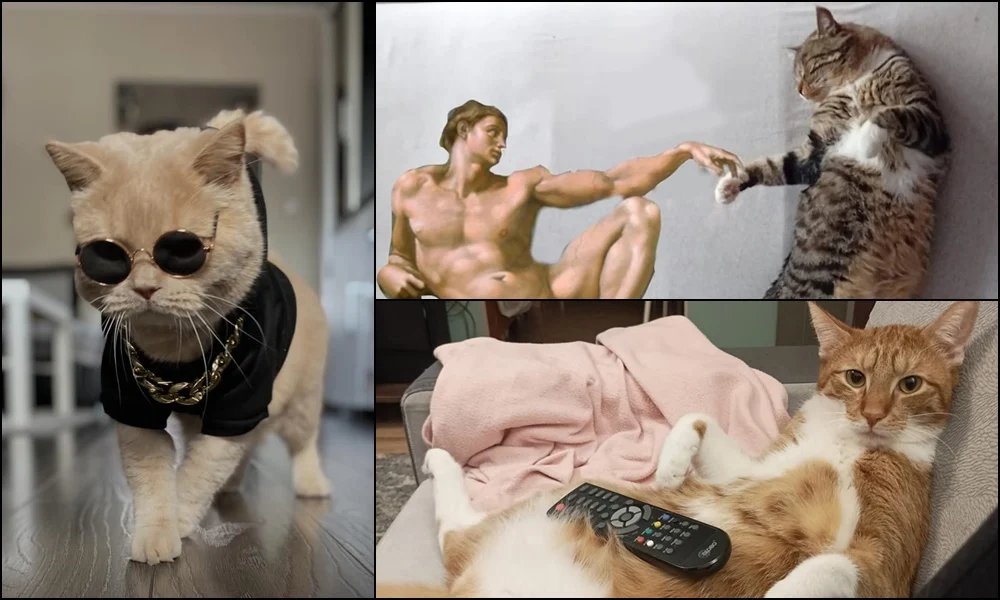 Dzień Kota: Zobaczcie futrzastych przyjaciół naszych Czytelników!