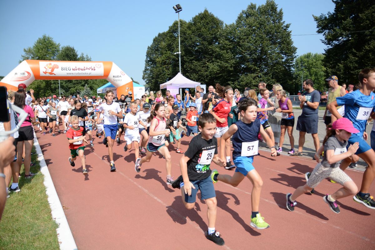 Bieg Wiewiórki 71