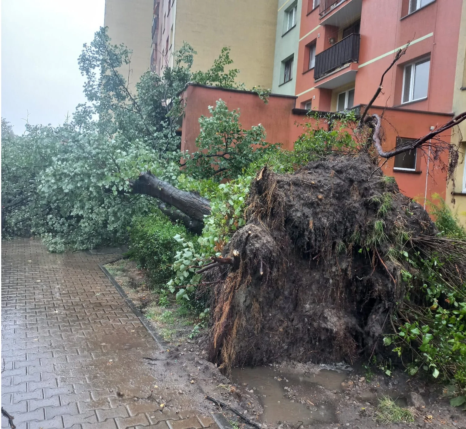 Potężna ulewa sparaliżowała Dąbrowę Górniczą: Strażacy w akcji przez całą noc! [FOTO]