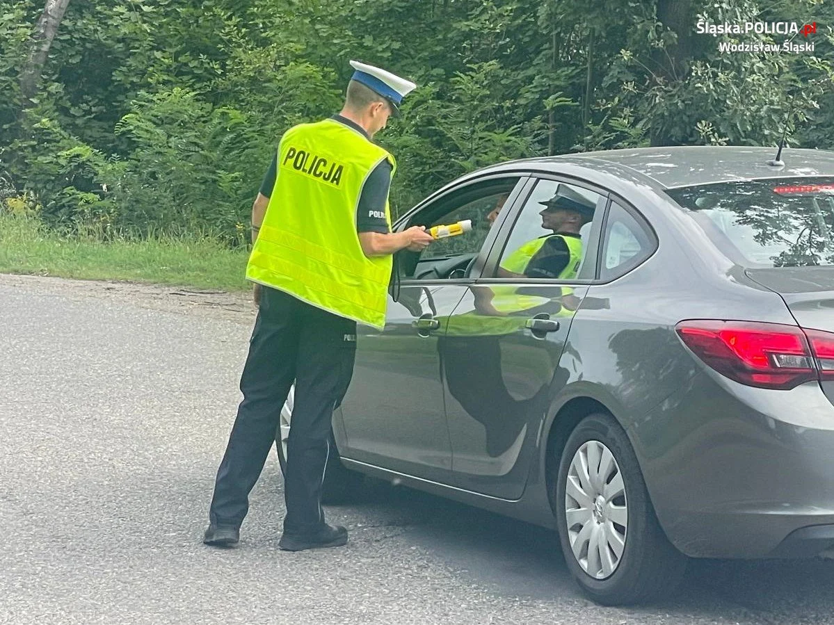 Podsumowanie akcji "Trzeźwość" w Wodzisławiu Śląskim