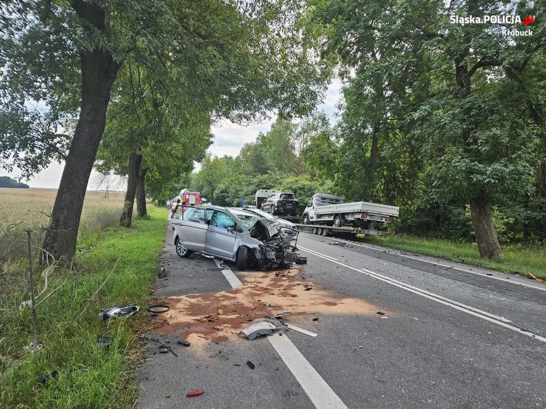 Na śląskich drogach zginęło 17 osób od początku wakacji!