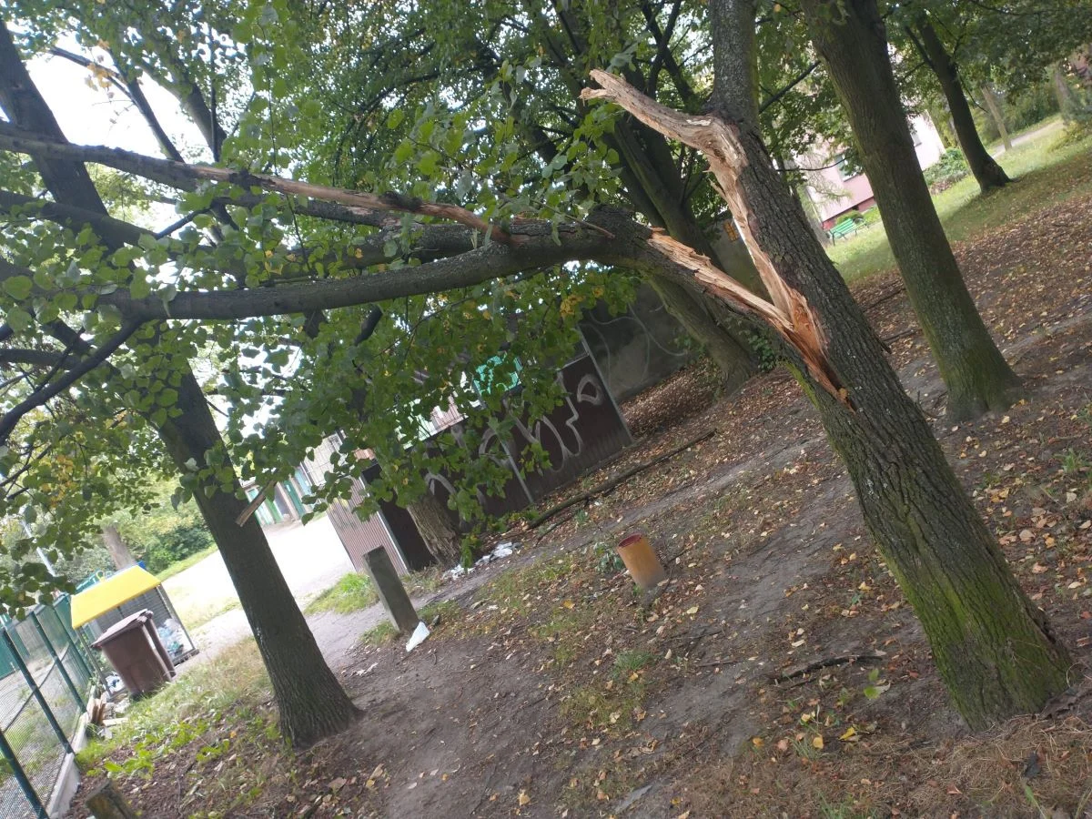 Wichura przeszła przez Siemianowice Śląskie. Powstało wiele zniszczeń