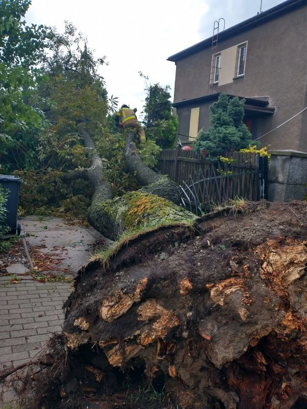 Wichura przeszła przez Siemianowice Śląskie. Powstało wiele zniszczeń