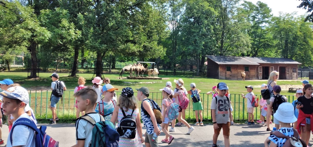 Koniec półkolonii letnich organizowanych przez MDK