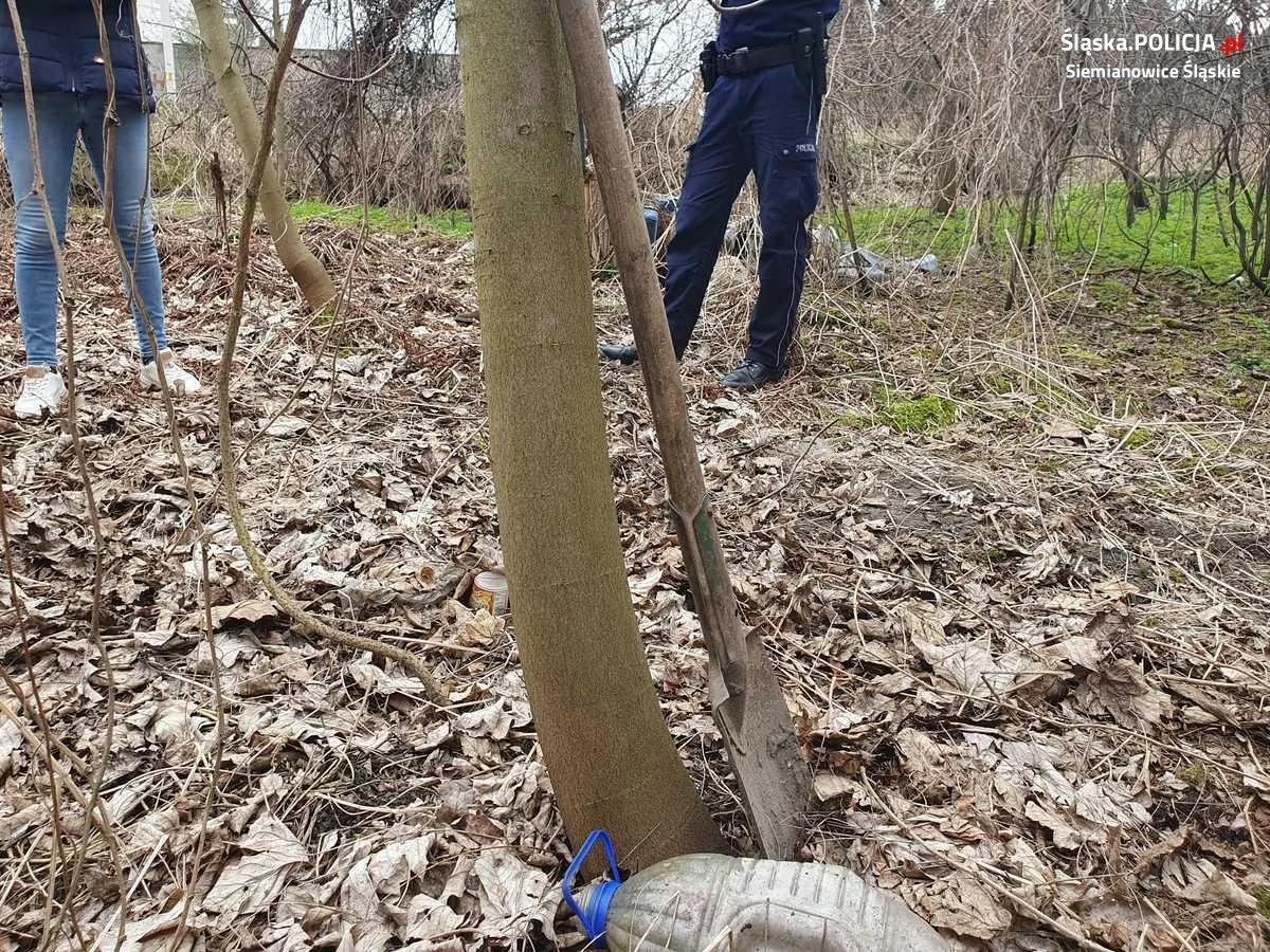 50-latka skazana za znęcanie się nad psem