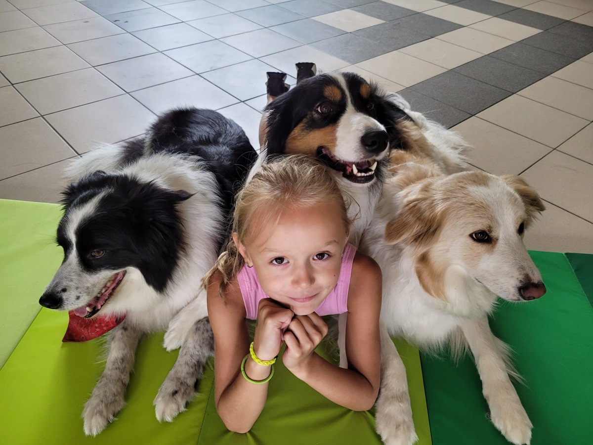 Sierpniowe przygody: odkryj atrakcje MOK