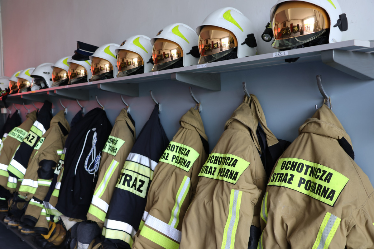 Apel PSP w sprawie interwencji związanych z owadami