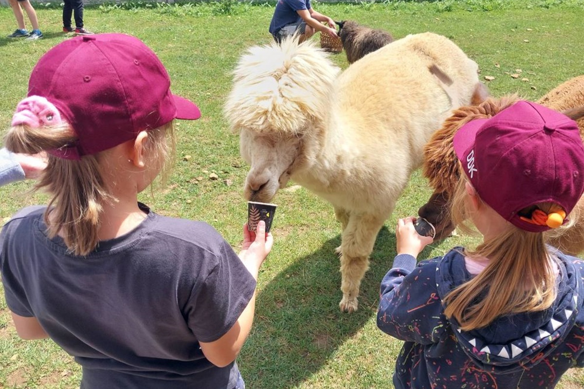 Półkolonie w Piekarach Śląskich 29