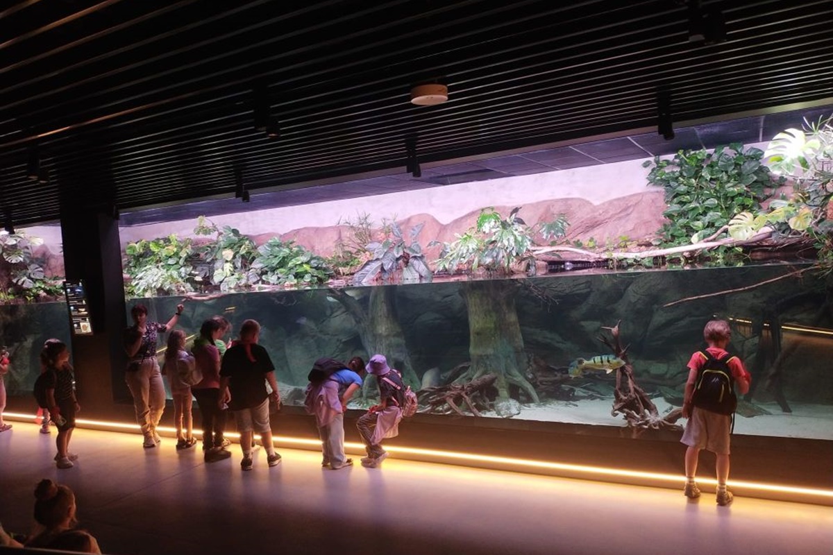 Półkolonie w Piekarach Śląskich 35