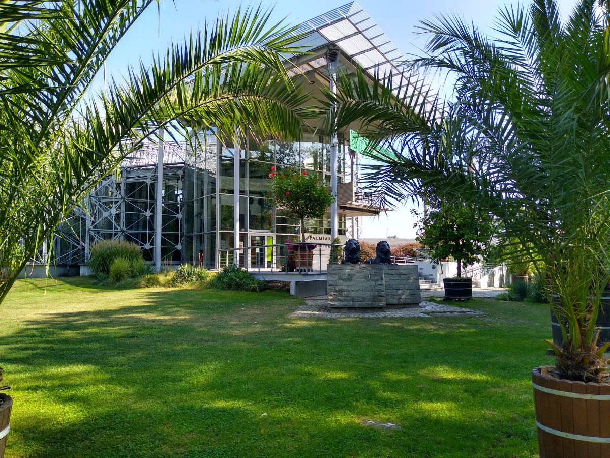 W trosce o bezpieczeństwo roślin przesunięto termin ponownego otwarcia Palmiarni Miejskiej