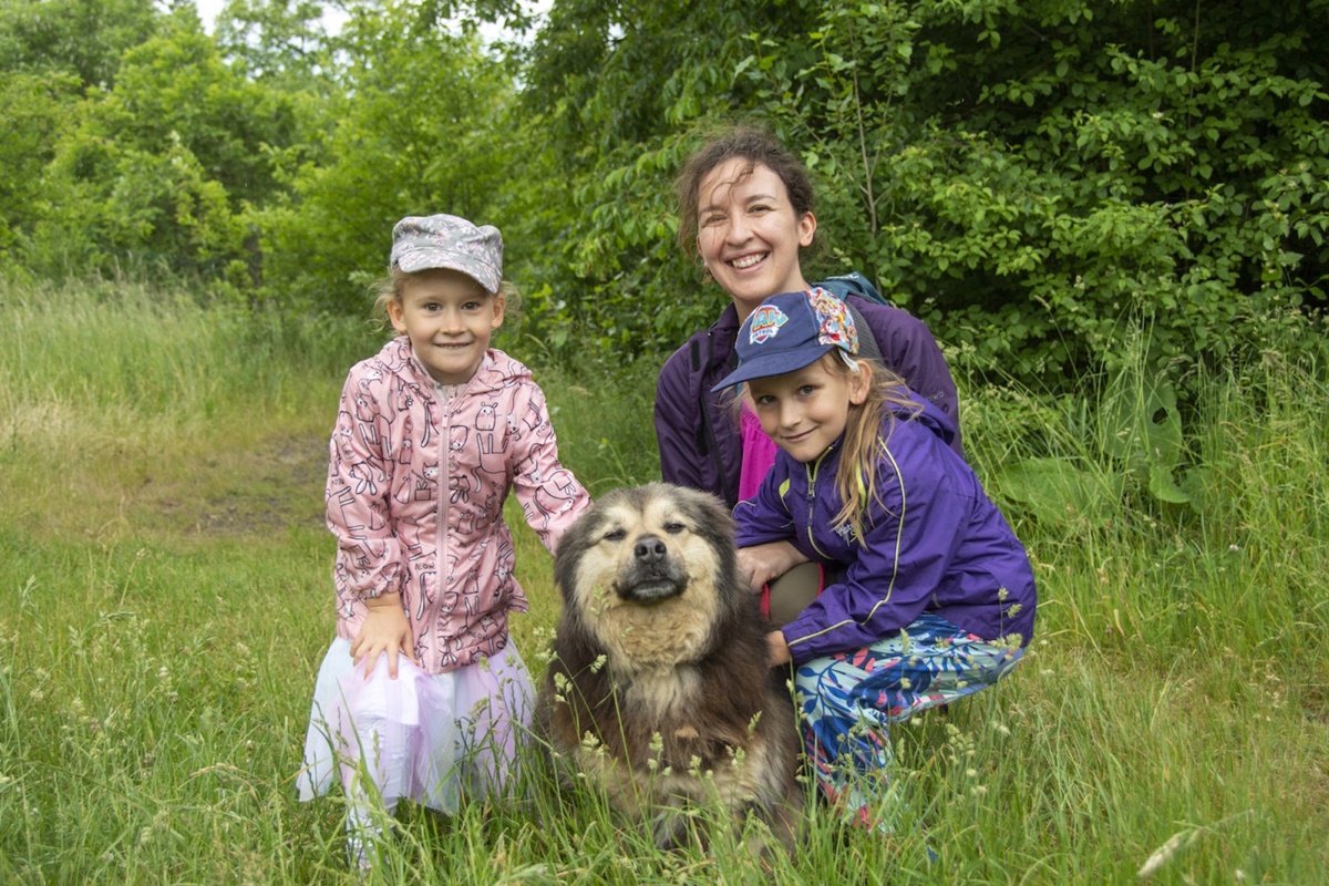 W sobotę odbędą się spacery z psami z bytomskiego schroniska!