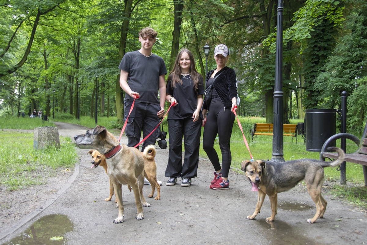W sobotę odbędą się spacery z psami z bytomskiego schroniska!