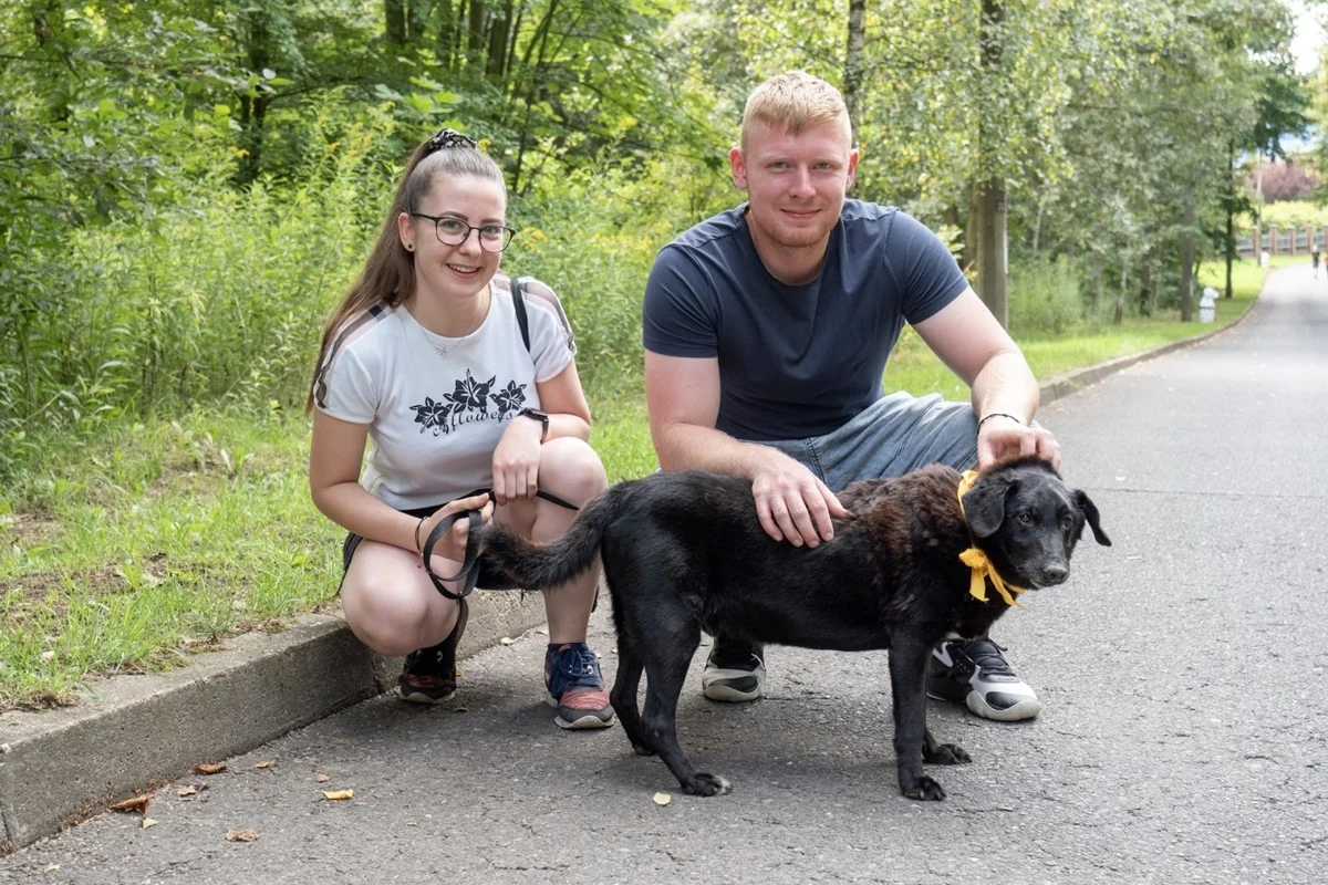Za nami spacer z psami bytomskiego schroniska po parku Tiele-Wincklerów