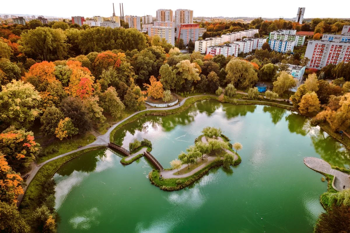 Miejski Rzecznik Konsumentów w Bytomiu: Bądź czujny podczas pokazów i bezpłatnych badań