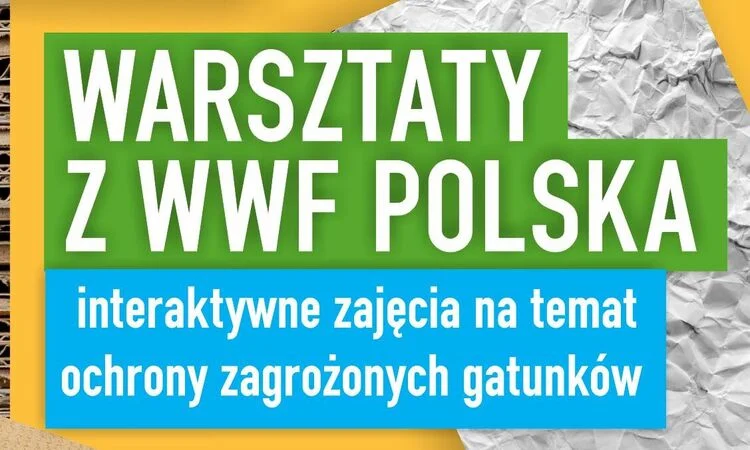 Przed nami warsztaty dotyczące ochrony zagrożonych gatunków żyjących w Polsce i nie tylko