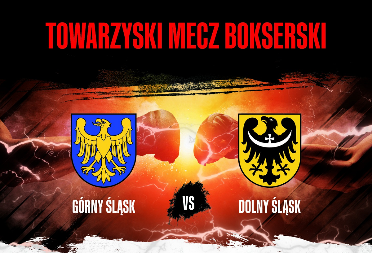 Sport i pomoc ręka w rękę. Charytatywny mecz bokserski w Mikołowie