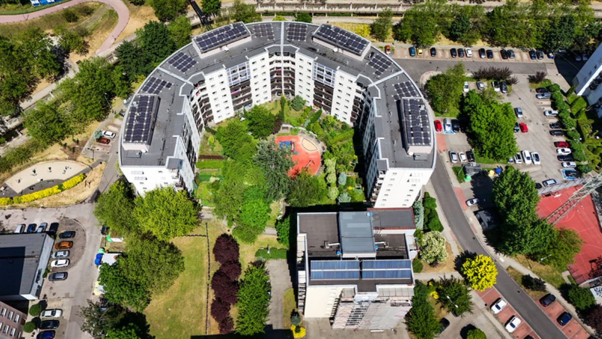 Więcej zieleni na terenach KTBS!