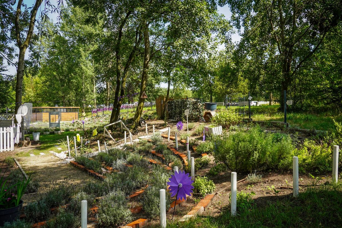 Z Budżetu Obywatelskiego na zielone ścieżki: Powstaje ogród sensoryczny