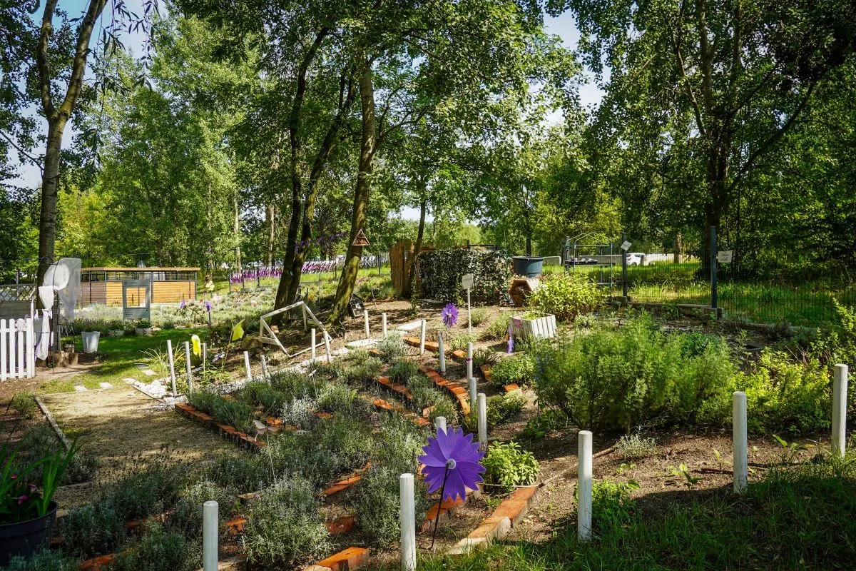 Z Budżetu Obywatelskiego na zielone ścieżki: Powstaje ogród sensoryczny