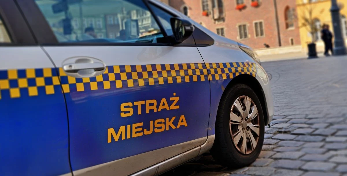 Straż Miejska w Katowicach: Zgłaszaj padłe zwierzęta, unikaj zagrożeń