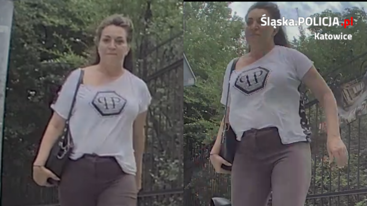 Zniszczenie lusterka w Katowicach – Policja prosi o pomoc w identyfikacji podejrzanej