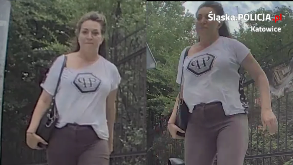 Zniszczenie lusterka w Katowicach – Policja prosi o pomoc w identyfikacji podejrzanej