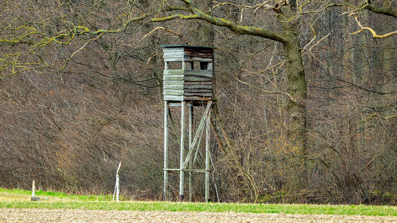 Plan polowań zbiorowych Koła Łowieckiego OSTOJA Gliwice na sezon 2024/2025