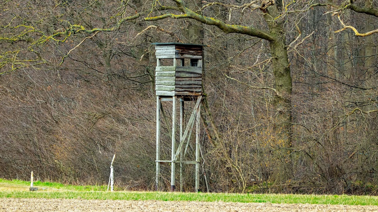 Plan polowań zbiorowych Koła Łowieckiego OSTOJA Gliwice na sezon 2024/2025