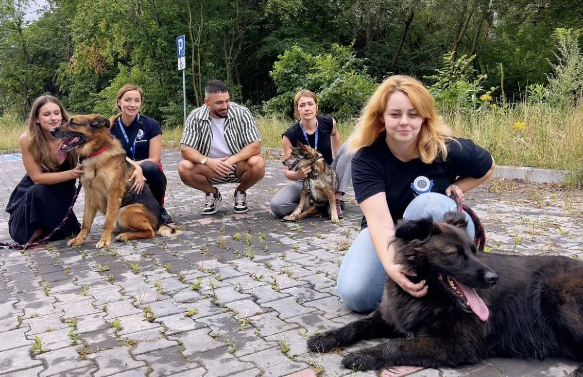 Domy dla czterech piesków poszukiwane! Poznajcie Bastka, Marleya, Dydę i Dudę