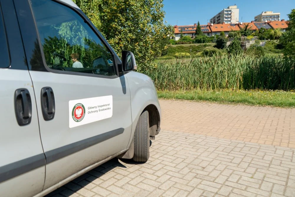 Trwa śledztwo w sprawie martwych łabędzi i kaczek w stawie Amelung